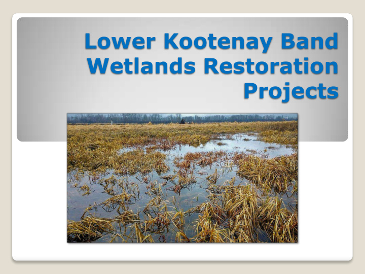 lower kootenay band wetlands restoration projects