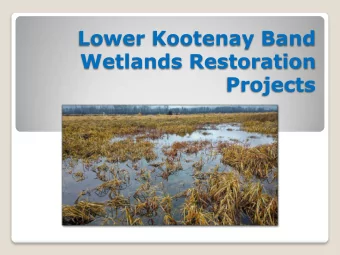 Lower Kootenay Band  Wetlands Restoration  Projects  Yaqan Nukiy Wetland Restoration Project  Yaqan