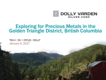 Exploring for Precious Metals in the  Golden Triangle District, British Columbia TSX.V : DV