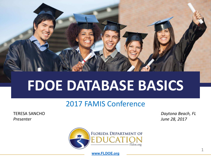 fdoe database basics