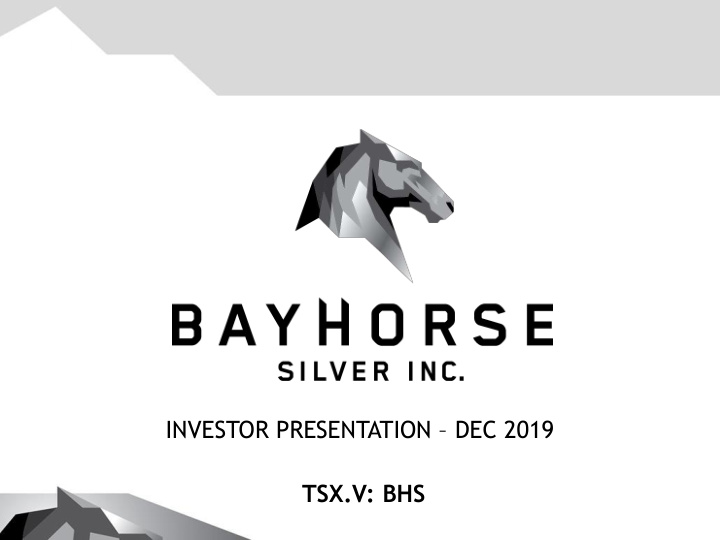 investor presentation dec 2019 tsx v bhs cautionary note
