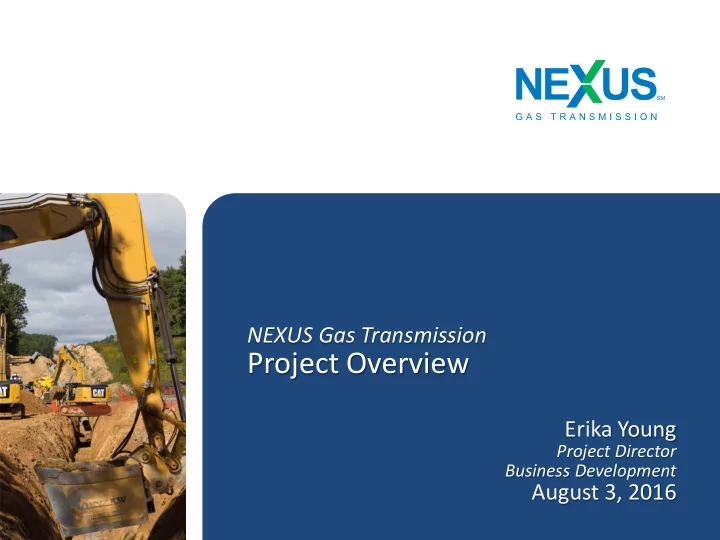 project overview