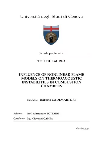 Universit degli Studi di Genova  Scuola politecnica  tesi di laurea  INFLUENCE OF NONLINEAR FLAME