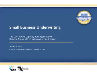 Small Business Underwriting  The CDFI Funds Capacity Building Initiative:  Building Native