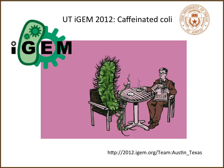 ut igem 2012 caffeinated coli