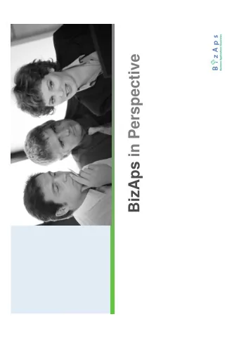 BizAps in Perspective  Agenda  The Company  BizAps and the Public Sector  Our Solution Portfolio