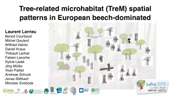 Tree-related microhabitat (TreM) spatial  patterns in European beech-dominated  forests  Laurent