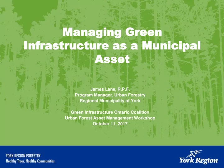 inf nfrastructure rastructure as as a mu a municipal