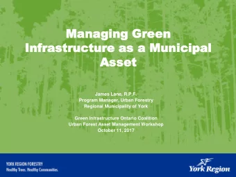 Inf  nfrastructure  rastructure as  as a Mu  a Municipal  nicipal  Asse  As set  James Lane, R.P.F.