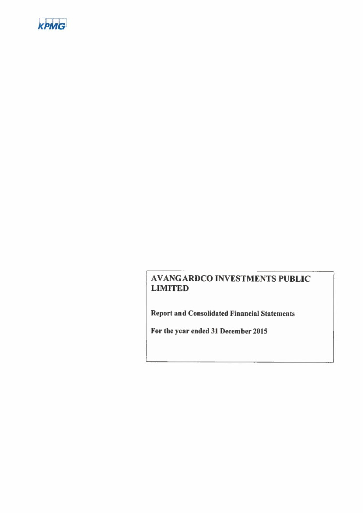 0 avangardco investments public limited contents page