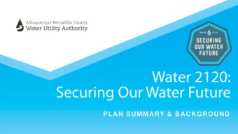 PLAN SUMMARY &amp; BACKGROUND