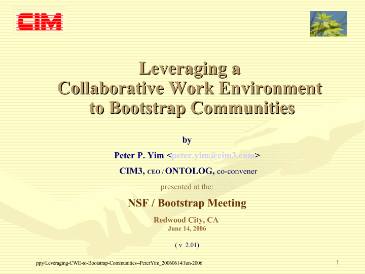 leveraging a leveraging a collaborative work environment