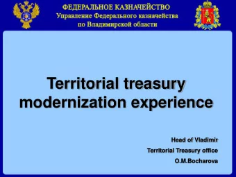 Territorial treasury  modernization experience  Head of Vladimir  Territorial Treasury office
