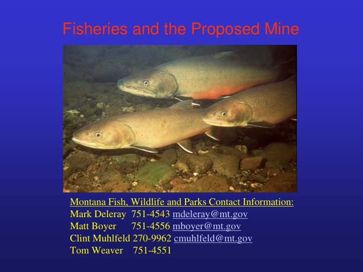 fisheries and the proposed mine