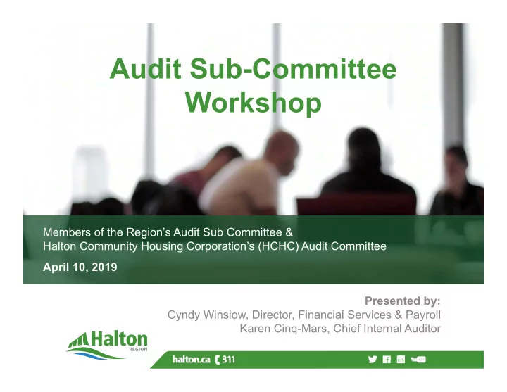 audit sub committee workshop