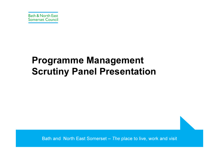 programme management scrutiny panel presentation