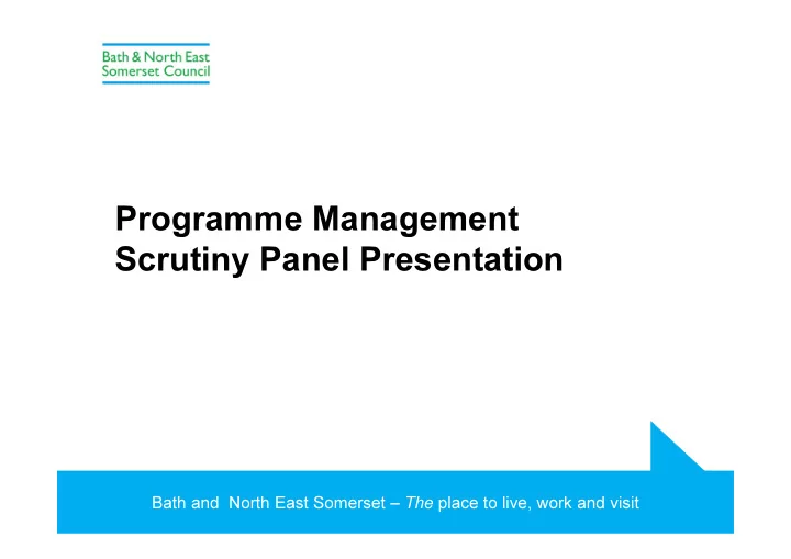 programme management scrutiny panel presentation