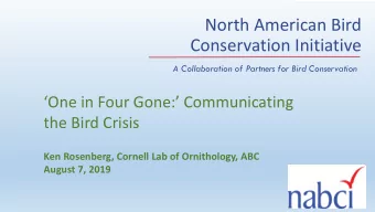 North American Bird  Conservation Initiative  A Collaboration of Partners for Bird Conservation