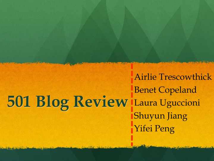 501 blog review