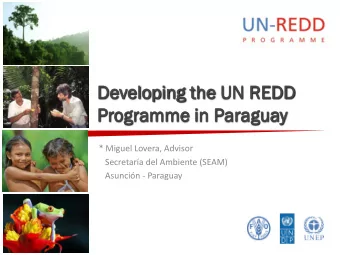 De  Developin  ing the UN R  REDD  EDD  Progra  ramme  mme in P  in Par  araguay  * Miguel Lovera,