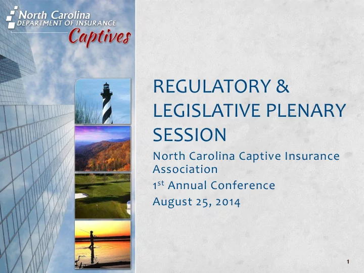 regulatory legislative plenary session