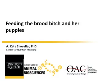 Feeding the brood bitch and her puppies A. Kate Shoveller, PhD Center for Nutrition Modeling Agenda
