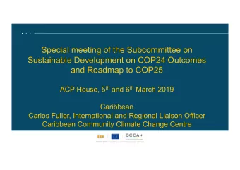 Special meeting of the Subcommittee on  Sustainable Development on COP24 Outcomes  and Roadmap to