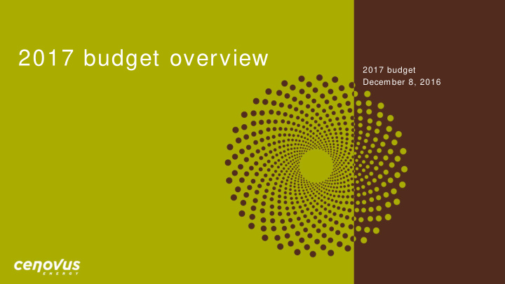 2017 budget overview