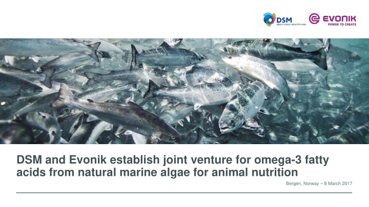 dsm and evonik establish joint venture for omega 3 fatty