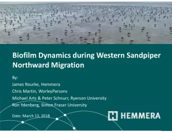 Biofilm Dynamics during Western Sandpiper  Northward Migration  By:  James Rourke, Hemmera  Chris