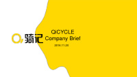 qicycle company brief