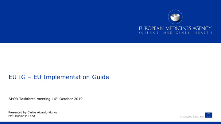 eu ig eu implementation guide