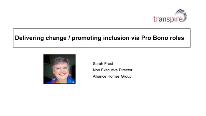 delivering change promoting inclusion via pro bono roles