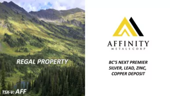 FORWARD LOOKING STATEMENTS  This document contains forward-looking statements and factual