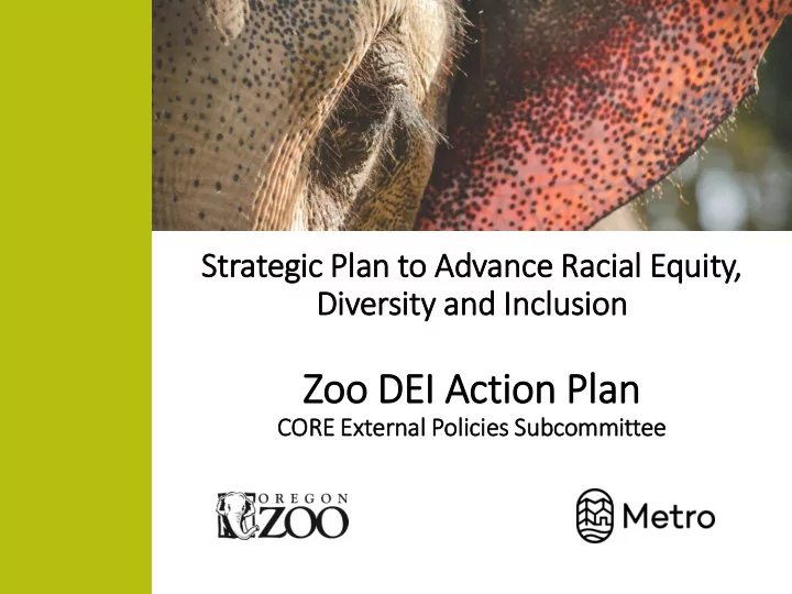 strategic pla lan to advance racia ial equit ity div