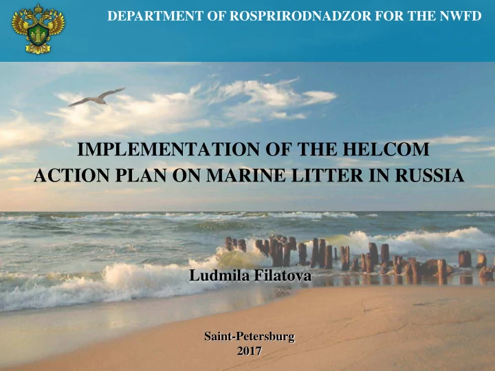 implementation of the helcom action plan on marine litter
