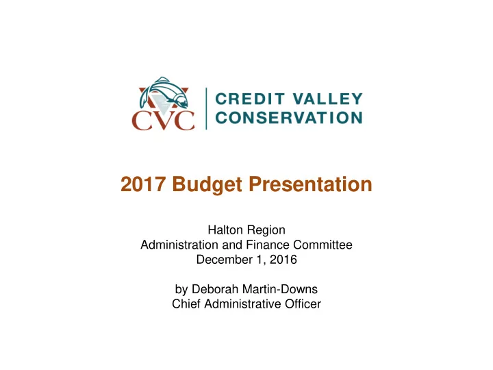 2017 budget presentation