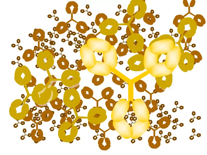 igg and albumin constitute 80 90 of the total protein