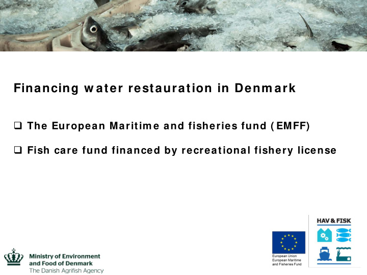 financing w ater restauration in denm ark