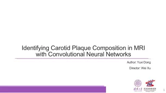 Identifying Carotid Plaque Composition in MRI  with Convolutional Neural Networks  Author: Yuxi