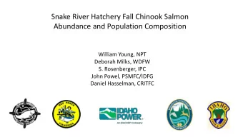Snake River Hatchery Fall Chinook Salmon  Abundance and Population Composition  William Young, NPT