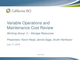 Variable Operations and  Maintenance Cost Review Working Group  2  Storage Resources