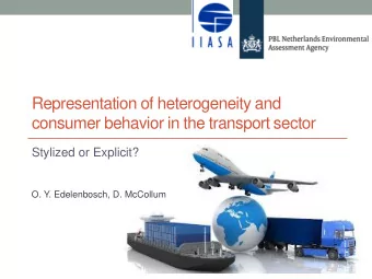 Representation of heterogeneity and  consumer behavior in the transport sector  Stylized or