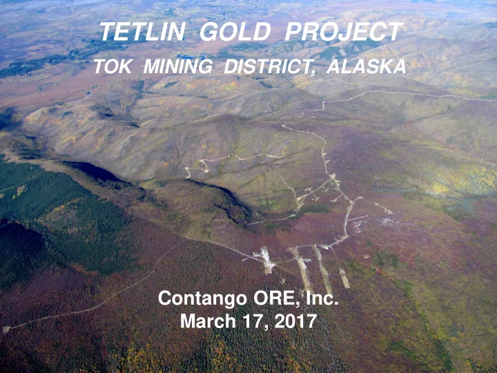 tetlin gold project