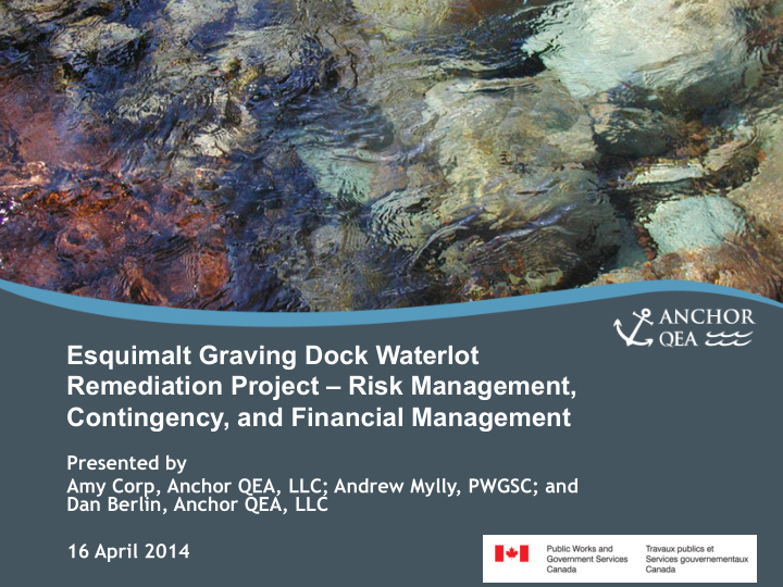 esquimalt graving dock waterlot remediation project risk