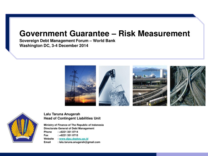 government guarantee risk measurement