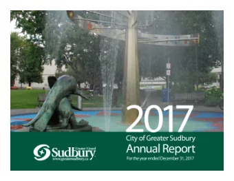 Annual Report  Large projects  Economic indicators  2017 results  Key financial