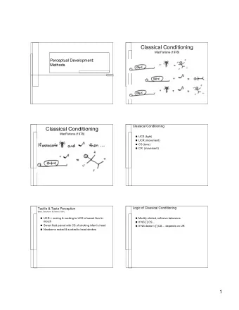 Classical Conditioning  MacFarlane (1978)  Perceptual Development:  Methods  Classical Conditioning