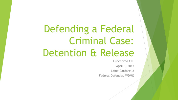 defending a federal criminal case detention release