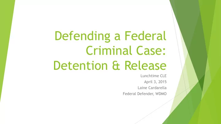 defending a federal criminal case detention release